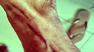 Alineflavios Latest Update: Sensory Delight